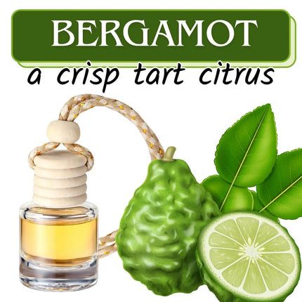 Bergamot (a crisp tart citrus) Car Home Fragrance Diffuser All Natural Coconut Oil Freshener Air Home Kim's Korner Wholesale
