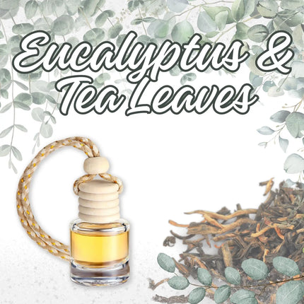Eucalyptus & Tea Leaves Car Home Fragrance Diffuser All Natural Coconut Oil Freshener Air Home Kim's Korner Wholesale
